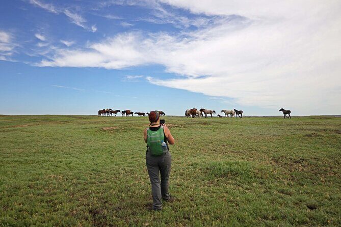 Half Day Chasing Horses Wildlife Photography Experience in North Dakota - Practical Details & Tips