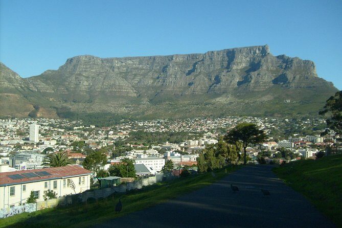 Half day City & Table Mountain Tour - The Guide: The Heart of the Experience