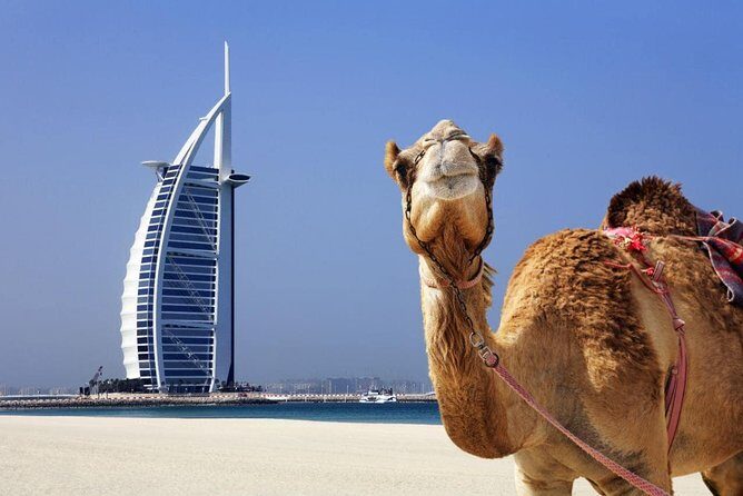 Half Day City Tour with Dubai Frame Tickets - What’s Included and What’s Not