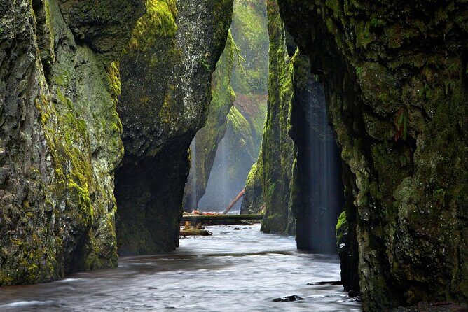 Half Day Columbia River Gorge Waterfalls Tour - Who Will Love This Tour?