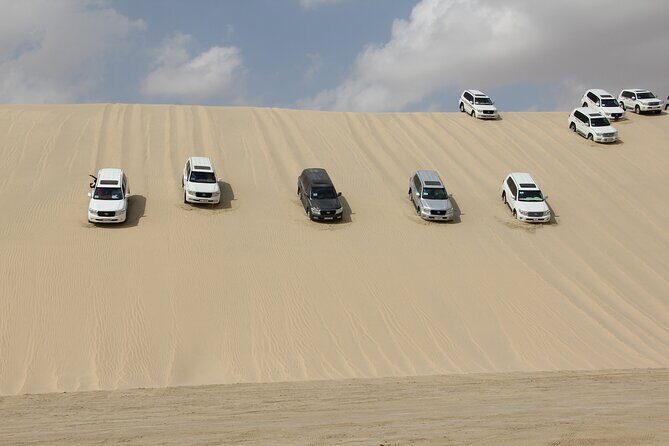 Half Day Desert Tour with Camel Ride - The Experience at Sealine Beach & Surroundings