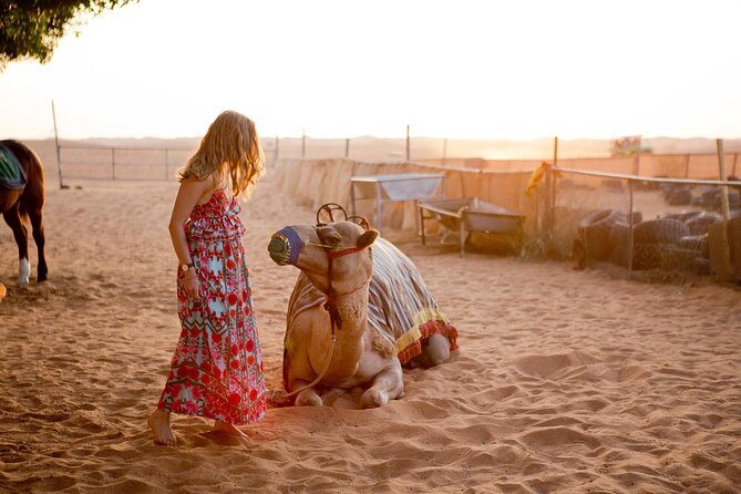 Half-Day Dubai Desert Safari With 7 Live Shows and BBQ Dinner - What Travelers Love and What Could Be Better