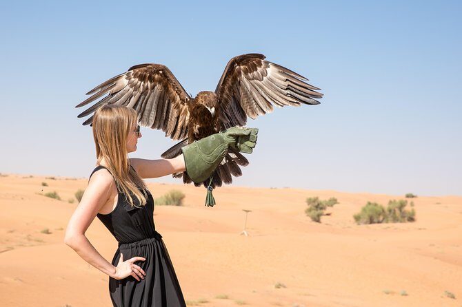 Half-Day Evening Desert Safari in Dubai with BBQ Dinner - Food, Drinks, and Entertainment