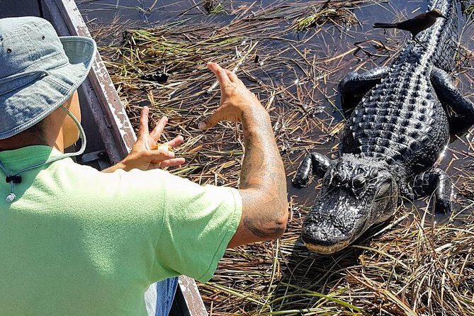 Half-day Everglades National Park Tour and 1-Hour Air Boat Ride - The Sum Up: Is This Tour Worth Your Time?