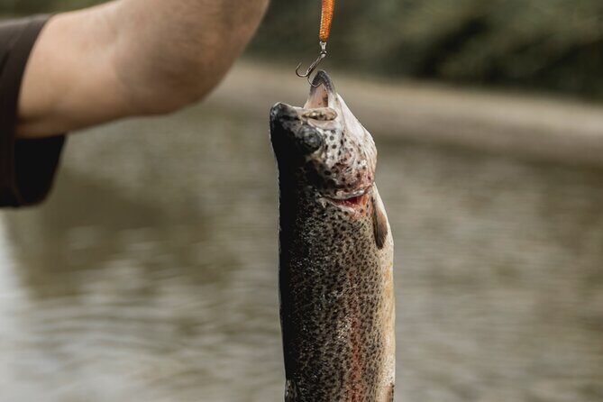 Half Day Fishing Adventure - The Logistics: Price, Gear, and Group Size