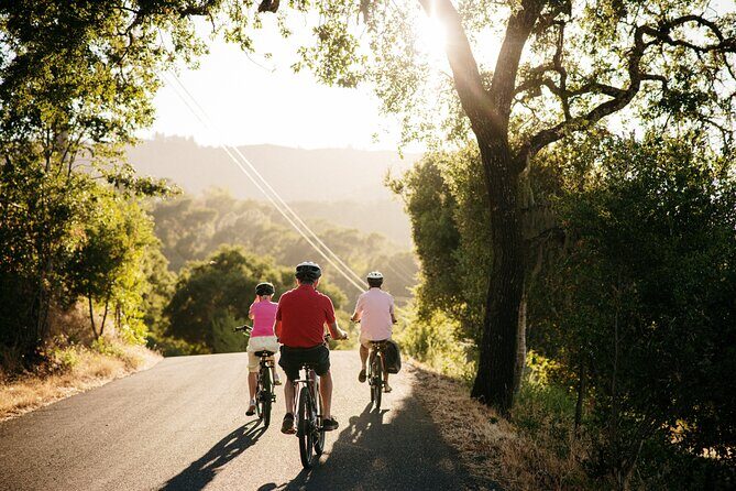 Half Day Guided Electric Bike Wine Tasting Tour with Lunch - Winery Stops and Wine Tasting