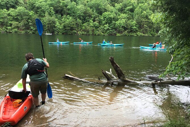 Half-Day Guided Kayaking in the Smoky Mountains of Tallassee - The Itinerary: What to Expect