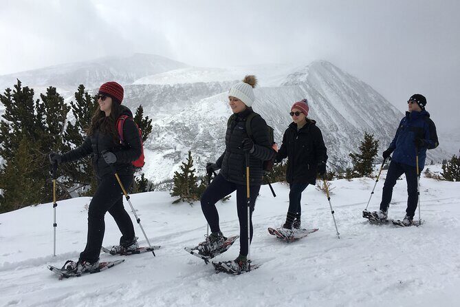 Half Day Guided Snowshoe Tour Near Breckenridge - The Sum Up: Is This Tour Worth It?