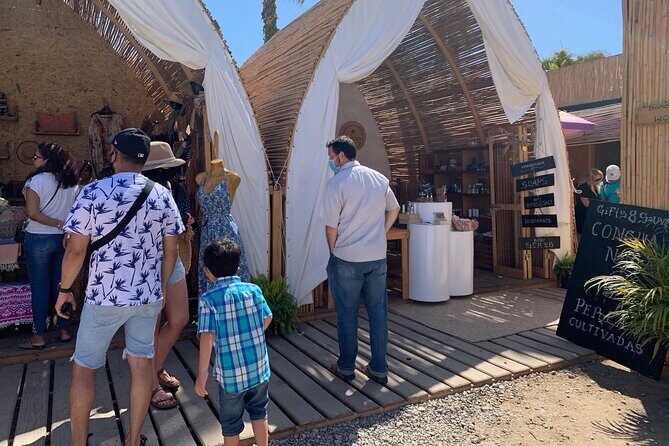Half-Day: Guided Tour to Todos Santos Magical Town - Who Should Consider This Tour?