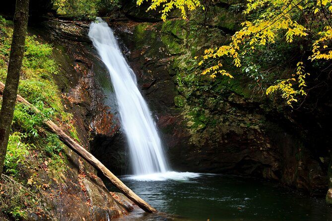 Half Day Hike - Water Falls - The Value of a Guided Naturalist Experience