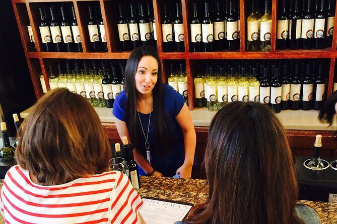 Half-Day Hill Country Wine Shuttle From Austin - Authentic Insights from Travelers