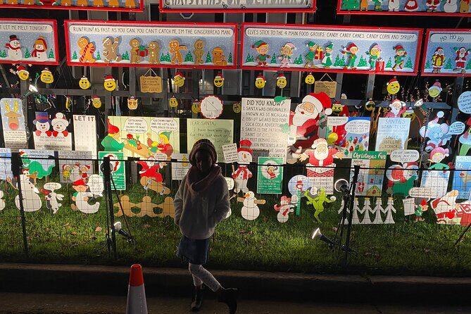 Half-Day Holiday and Tacky Lights Tour in Richmond - Who Will Love This Tour?