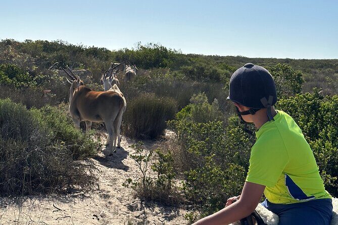 Half day Horse back safari - FAQ