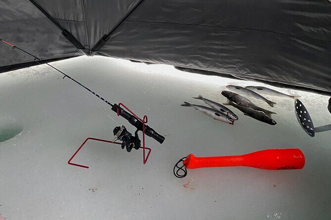 Half Day Ice Fishing Adventure in Wasilla - Detailed Breakdown of the Experience