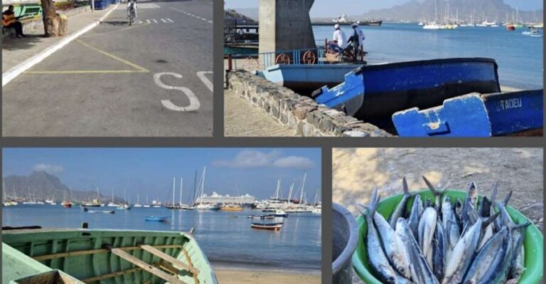 Half Day Island Tour, Best of São Vicente, Highlights - Who Will Love This Tour?