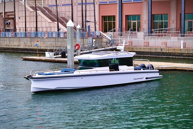 Half Day Luxury Boat Tour in Bradenton with Snorkeling - Who Would Love This Tour?