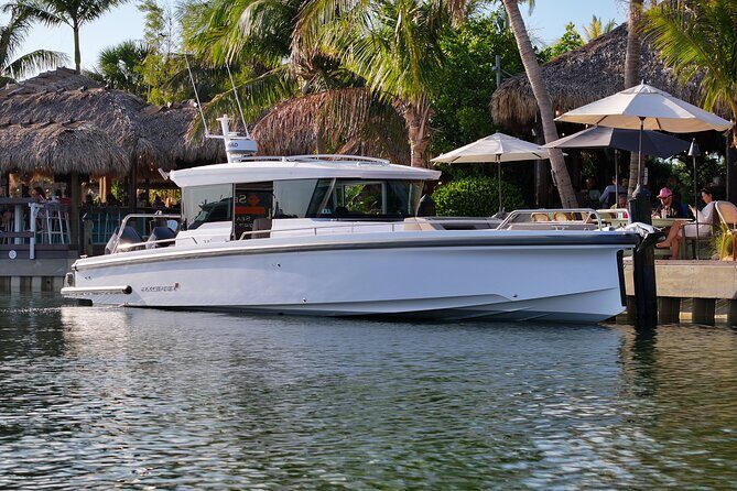 Half Day Luxury Boat Tour in Tampa with Snorkeling - What’s Included and What’s Not