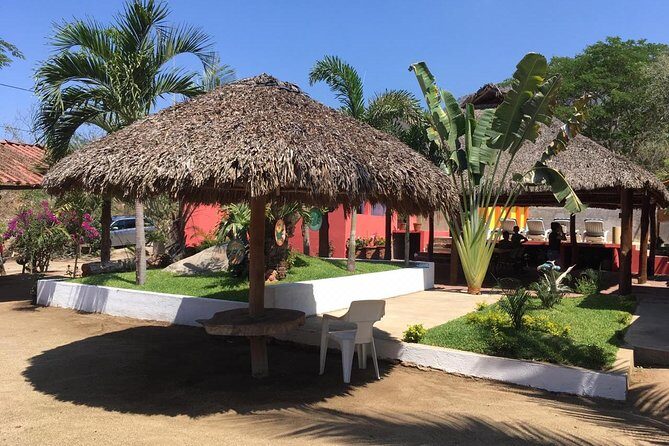 Half-day Manzanillo City Tours - Pricing and Value