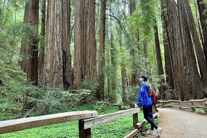 Half-Day Muir Woods & Sausalito Tour with Entry Ticket Included - The Itinerary: What You Can Expect