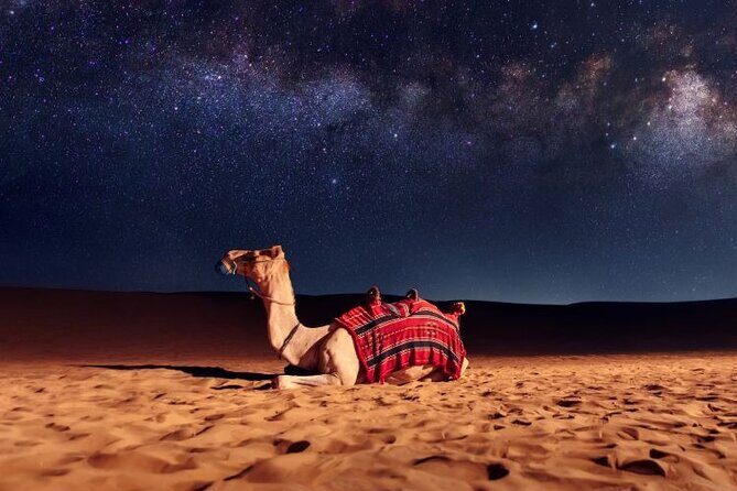 Half Day Night and Morning Desert Safari Camel and Sand Boarding - What’s Included & What’s Not