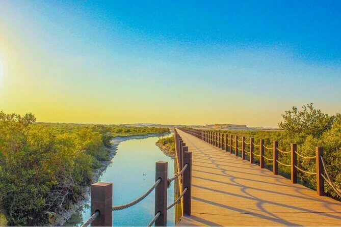 Half-Day North Qatar Tour - Key Points You Need to Know