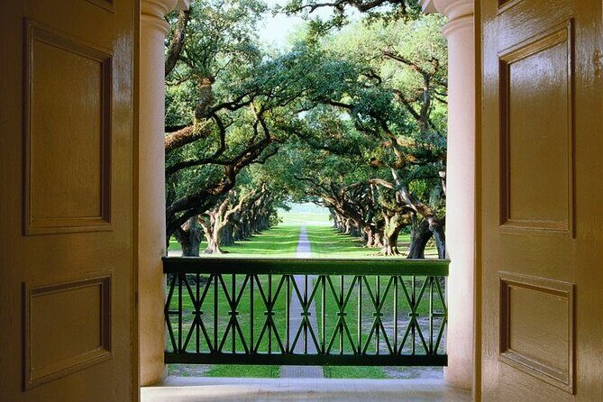 Half-Day Oak Alley Plantation Tour in Vacherie - The Cost and Its Value