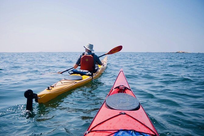 Half-Day Orleans Island Small-Group Sea Kayaking Tour - Practical Details: Price, Group Size, and What’s Included