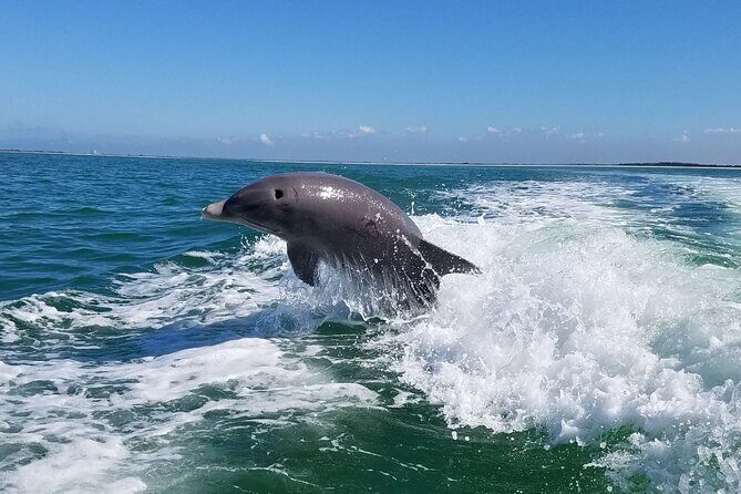 Half-Day Private Boating On Platinum Funship - Dunedin - Frequently Asked Questions (FAQs)