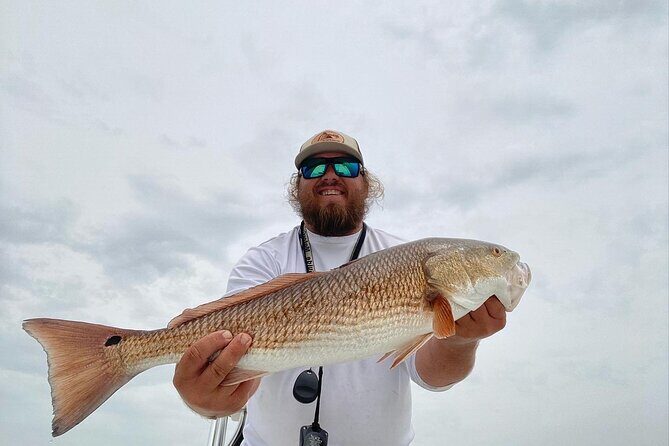 Half-Day Private Guided Inshore Fishing Charter on the Nature Coast - Final Thoughts: Who Will Love This Tour?