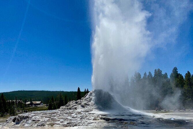 Half Day Private in Yellowstone Geyser Basin Tour - Unpacking the Itinerary: What to Expect