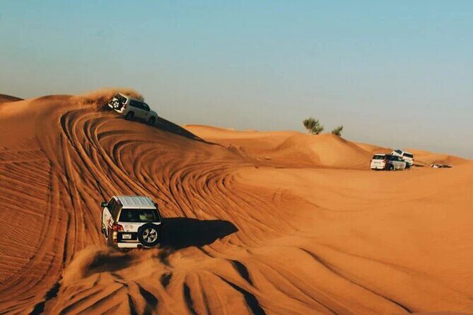 Half-Day Private Morning Desert Safari by 4x4 Car - What’s Included and What’s Not
