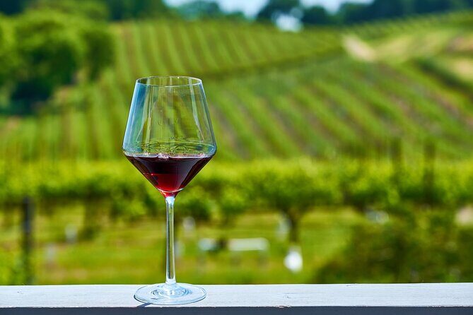 Half-Day Private Niagara County Wine Tour Experience - What Makes This Tour Stand Out