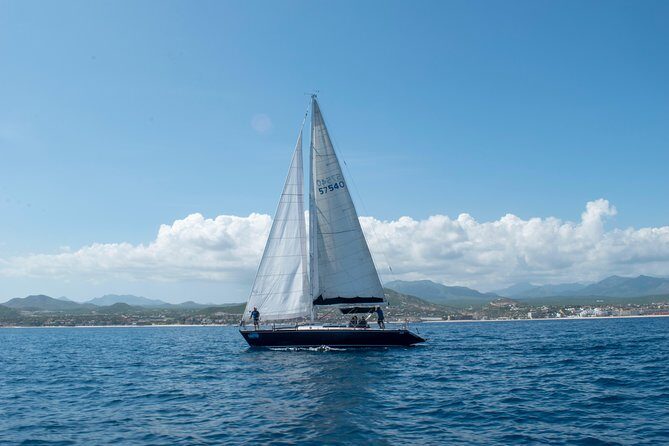 Half-Day Private Snorkel Sailing Adventure in Cabo San Lucas - The Value of This Experience