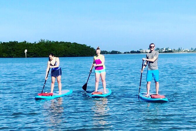 Half Day Rental to John's Pass Sandbar & Mangrove Tunnel - An Overview of the Experience