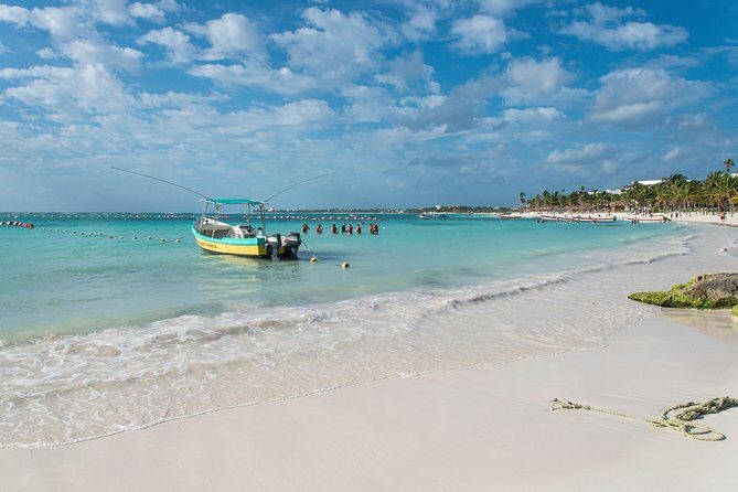 Half-Day Sea Turtle and Cenote Snorkeling Tour from Cancun & Riviera Maya - The Sum Up