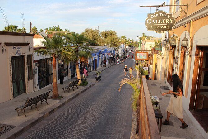 Half-Day Small-Group San Jose City Tour and Beach Day - Strolling the Historic Streets