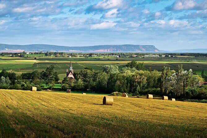 Half-Day Small-Group Tour of Annapolis Valley - The Itinerary—What You’ll See and Do
