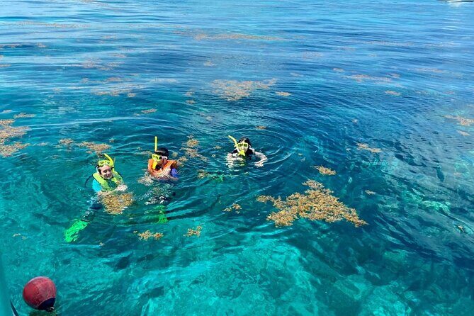 Half Day Snorkel Trip on Reefs in the Florida Keys - Analyzing the Cost and Value