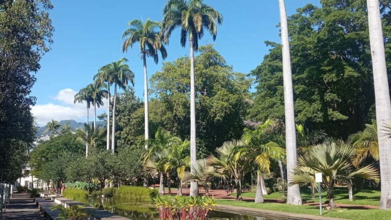 Half-day tour Saint Denis city center in Réunion Island - A Detailed Look at the Tour Experience