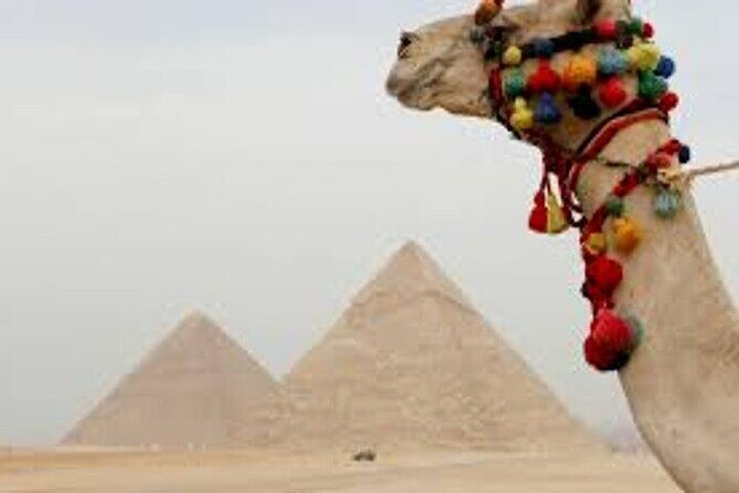 Half Day Tour To Giza Pyramids And Sphinx - Who Should Book This Tour?