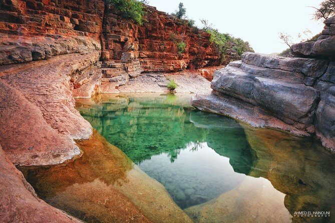 Half-Day Tour to Paradise Valley from Agadir - Transportation and Practical Details