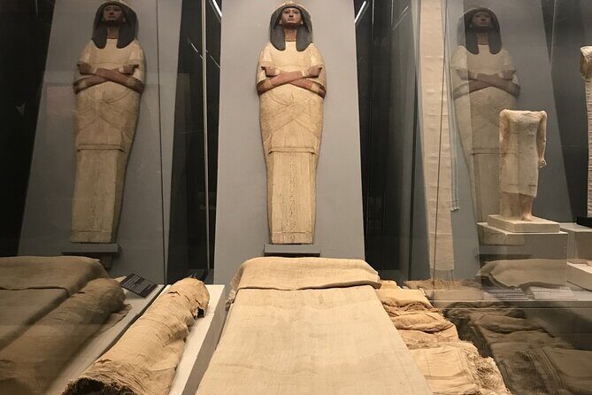 Half-Day Tour to the National Museum of Egyptian Civilization - Who Will Love This Tour?