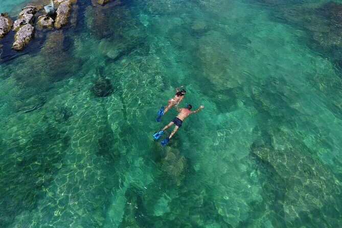 Half Day Tour to Tulum with Snorkel and Cenote from Riviera Maya - What the Tour Offers: A Deep Dive into the Day’s Highlights