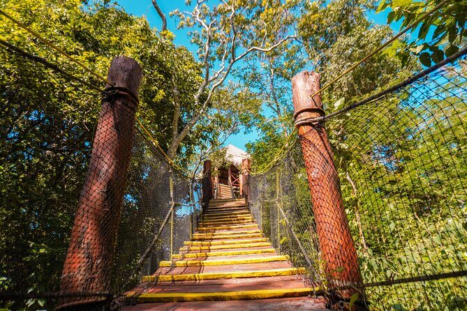 Half Day tour Zipline + Rappel + Cenote from Riviera Maya hotels - Who Should Consider This Tour?