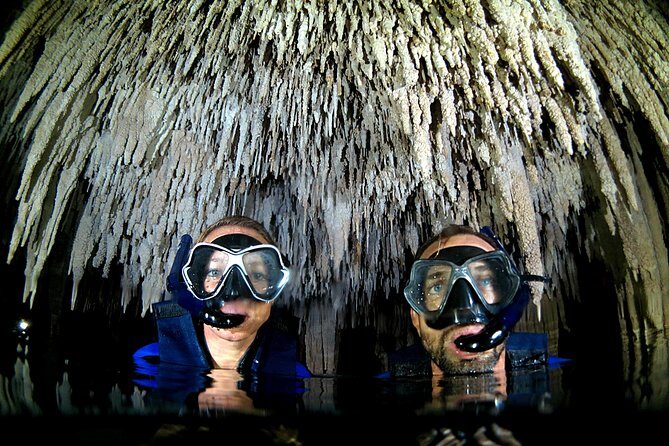 Half-Day Underwater World Tour - Who Will Love This Tour?