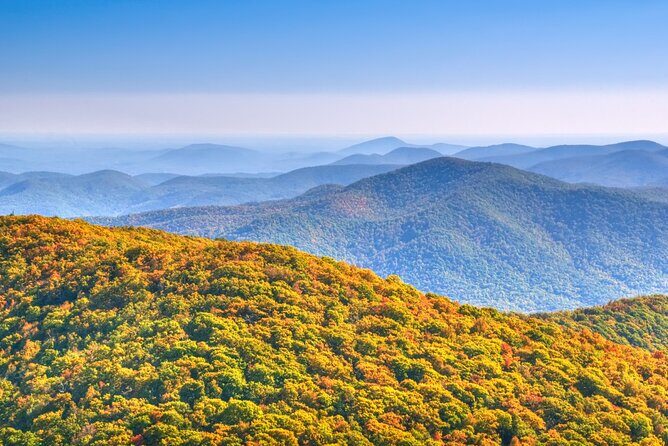 Half-Day Wine Tastings in the North Georgia Mountains - Authentic Insights from Travelers