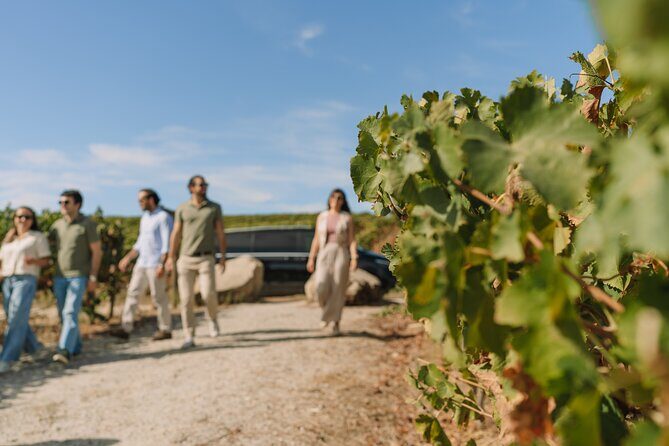 Half Day Wine Tour Around Evora - What Makes This Tour Stand Out?