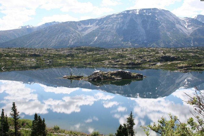 Half Day Yukon Suspension Bridge & Summit Tour - The Experience from Travelers’ Perspectives