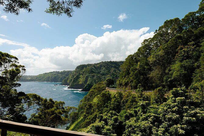 Half way to Hana Maui Open Air Jeep Private Tour - What to Expect at Each Stop
