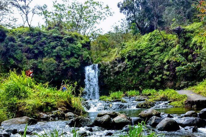 Halfway to Hana Tour of Maui Black Sand Beach Waterfalls Turtles - The Complete Breakdown of the Maui Halfway to Hana Tour